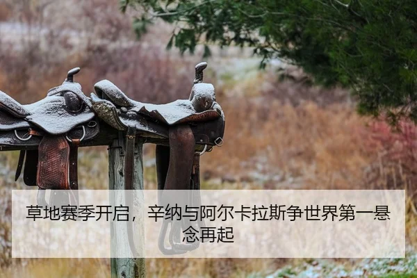 草地赛季开启，辛纳与阿尔卡拉斯争世界第一悬念再起